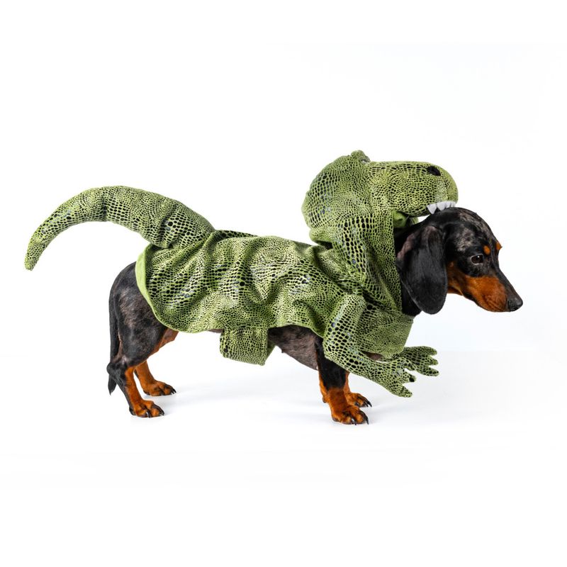 Maskeradkostym för hund, Dino