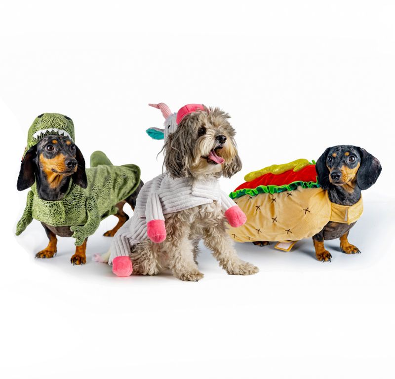 Maskeradkostym för hund, Dino