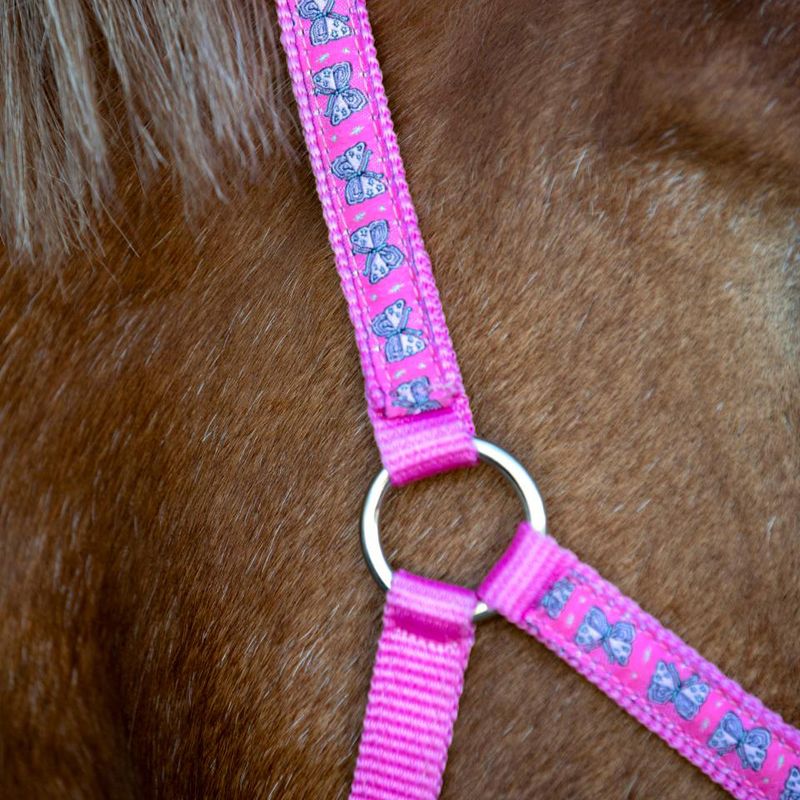 Grimma HG Butterfly / Fjärilar