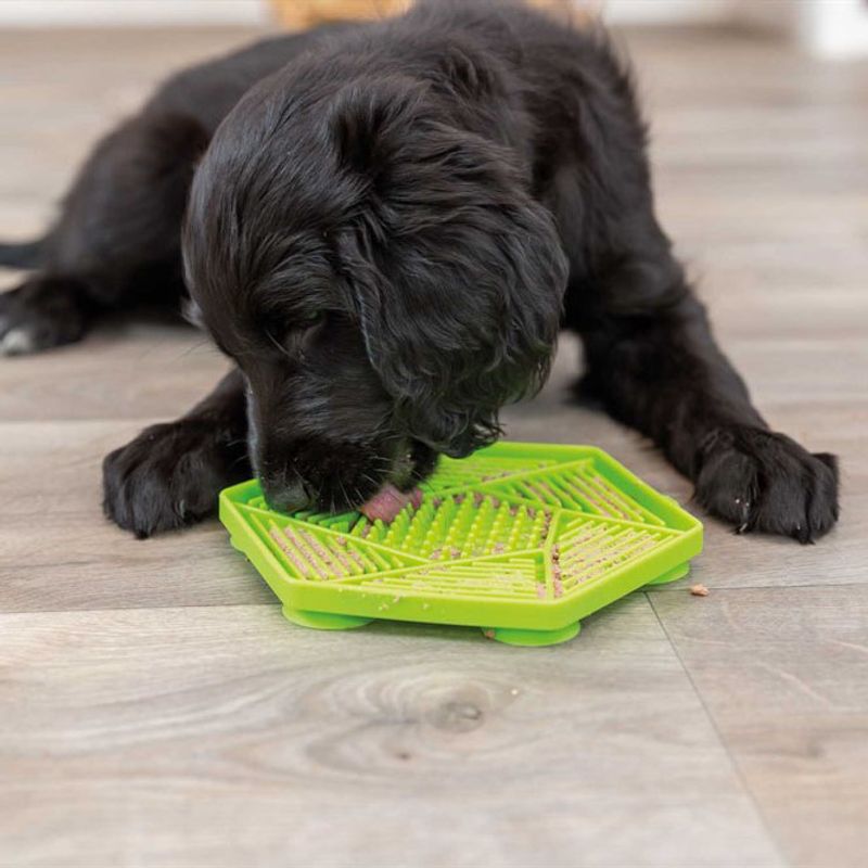 Lick'n'Snack platta med sugkopp, silikon, 17 cm, lime